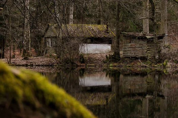 Pequena Cabine Galpão Armazenamento Através Pequeno Lago Floresta Palatinada Alemanha — Fotografia de Stock