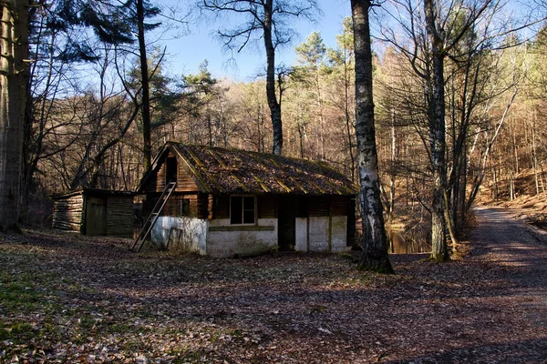 Hütte See Auf Einem Wanderweg Pfälzerwald Einem Wintertag Deutschland — Stockfoto