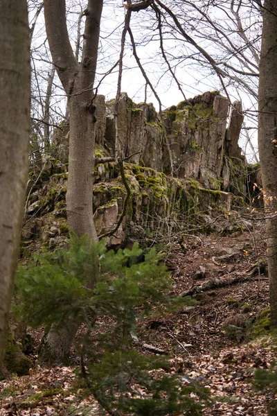在多云的春天 通往德国丹嫩费尔斯雷山科尼格斯图尔的岩石形成之路 — 图库照片
