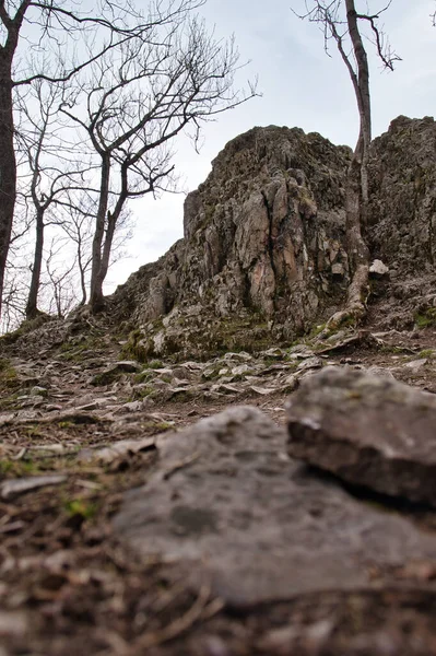 Sziklák Kőzetképződés Előtt Koenigsstuhl Dannenfels Mennydörgés Hegynél Németországban Egy Felhős — Stock Fotó