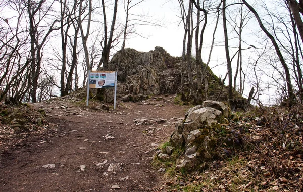 Camino Que Conduce Firmar Frente Formación Roca Koenigsstuhl Montaña Del —  Fotos de Stock