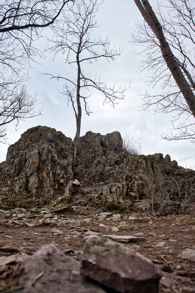 德国丹宁费尔斯雷山科尼格斯图尔附近的岩石在一个多云的春天的一天在帕拉廷森林 — 图库照片