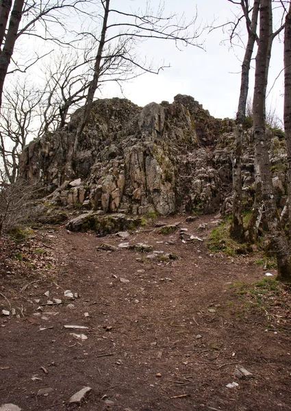 德国丹宁费尔斯雷山的科尼格斯图尔在帕拉廷森林一个多云的春日形成岩石的路径 — 图库照片