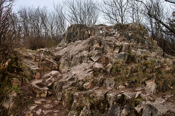 Δέντρα Γύρω Από Σχηματισμό Βράχων Koenigstuhl Στο Βουνό Thunder Στο — Φωτογραφία Αρχείου