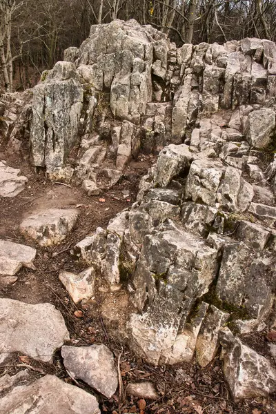 ドイツのダナンフェルズのサンダーマウンテンで パラチナテットの森で曇った春の日に岩が形成される — ストック写真