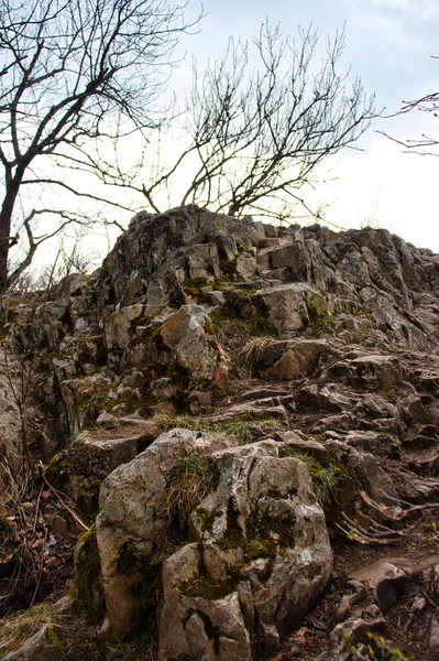 Pedras Árvores Uma Montanha Dannenfels Alemanha Dia Nublado Primavera Floresta — Fotografia de Stock