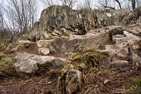 Almanya Nın Dannenfels Kentindeki Thunder Dağı Ndaki Koenigsstuhl Kayalar Çimenler — Stok fotoğraf