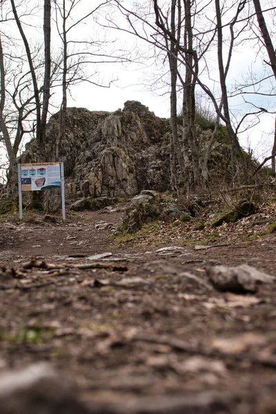Camino Rocoso Que Conduce Firmar Frente Koenigsstuhl Montaña Del Trueno — Foto de Stock