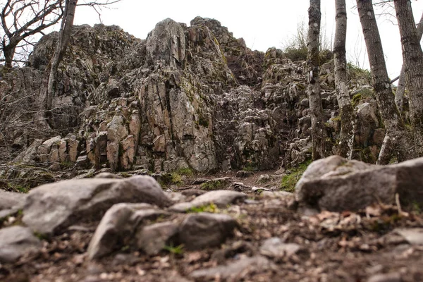 多云的春天 德国帕拉廷森林丹尼费尔斯雷山科尼格斯图尔组前面的岩石 — 图库照片