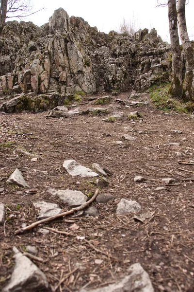 Camino Con Rocas Palos Que Conducen Formación Koenigsstuhl Montaña Del —  Fotos de Stock