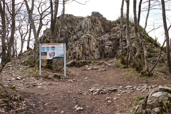 曇りの春の日にドイツのパラチナテットの森でサインとコエンニグランツの形成の前のパス上の岩 — ストック写真