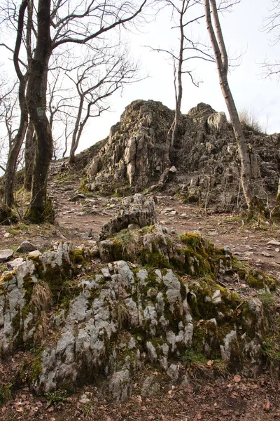 Πέτρες Και Μονοπάτι Μπροστά Από Σχηματισμό Koenigstuhl Στο Βουνό Thunder — Φωτογραφία Αρχείου