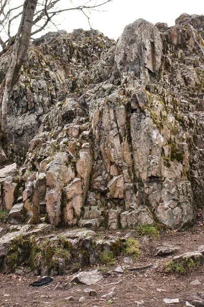 Lado Formación Koenigsstuhl Montaña Del Trueno Dannenfels Bosque Palatinado Alemania — Foto de Stock