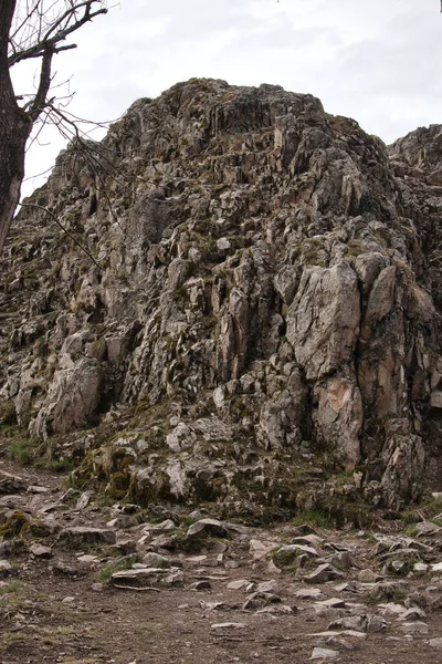 독일의 팔라티나이트 숲에서 다넨펠스의 산에서 코에니그 셰틀의 — 스톡 사진