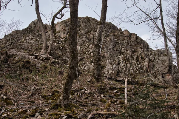 Stromy Před Skalní Formací Falcovém Lese Německu Zamračený Jarní Den — Stock fotografie
