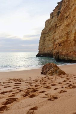 Güney Portekiz 'de bir kış öğleden sonra, kumlu bir sahilde, uçurumun kenarında uçan bir kuş..