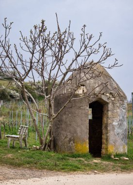 Almanya 'da bulutlu bir bahar gününde üzüm bağında, taş yapının yanındaki bankta ve ağaçta..