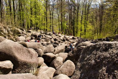 Lautertal, Almanya - 24 Nisan 2021: Felsenmeer 'e bakmak, Almanya' da bir bahar günü kayalarla kaplı bir tepe.