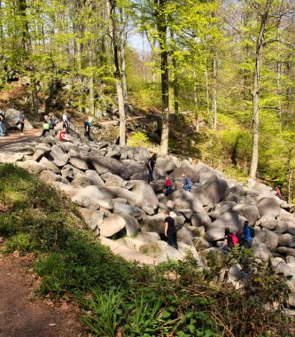 Lautertal, Almanya - 24 Nisan 2021: Almanya 'da bir bahar günü Felsenmeer' deki kayaların yamacında, kayalarla kaplı bir tepe.