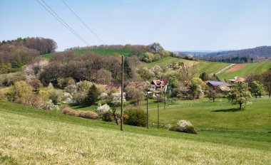 Almanya, Rhineland Palatinate 'de yeşil çimenleri olan yuvarlanan tepelerdeki binalar Hinkelstein anıtı yakınlarında bir bahar günü.