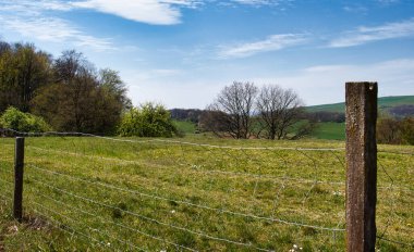Almanya 'da bir bahar günü Hinkelstein yakınlarında yürüyüş yolunda yeşil çimlerin yanında bir çit var..