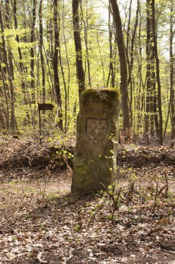 Almanya 'daki Hinkelstein Anıtı yakınlarındaki Palatinate Ormanı' nda yürüyen bir yolun yanındaki taş anıt..