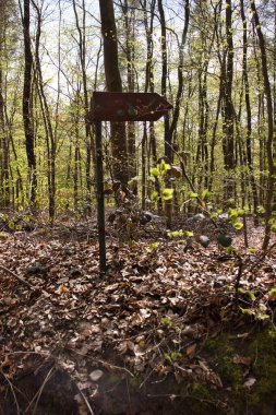 Hinkelstein yakınlarındaki Almanya 'nın Palatinate Ormanı' ndaki yürüyüş yolunda bir bahar günü ağaçlarda eski bir tabela..
