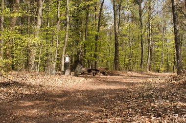 Bir bahar günü Almanya 'nın Palatinate Ormanı' ndaki Hinkelstein Anıtı 'nda piknik masası ve taşı.