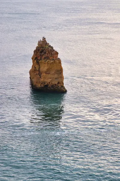 Rock in the Atlantic Ocean with birds on top on a winter day in southern Portugal.