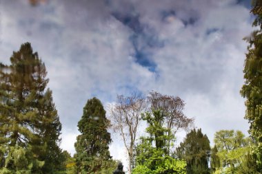 Ağaçların yansıması ve bulutlu bir gökyüzü Weinheim, Almanya 'da bir bahar günü parkta.