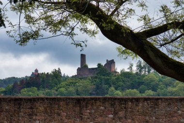 Weinheim, Almanya - 19 Mayıs 2021: Weinheim, Almanya 'da bir ilkbahar günü, yeşil ağaçlı bir tepenin üzerinde bir kale bulunan bir ağaç.