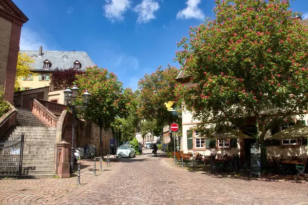 Weinheim, Almanya - 19 Mayıs 2021: Cobblestone Caddesi, güneşli bir bahar günü Almanya 'nın Weinheim kentinde çiçek açan ağaçlar.