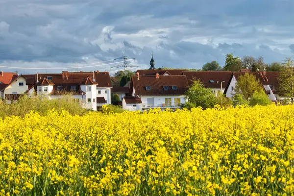 Lohnsfeld, Almanya 'daki beyaz evlerin üzerinde parlayan güneş ve bahar akşamları açan kolza tohumu tarlaları.