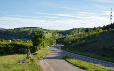 Almanya, Rhineland Palatinate 'de güneşli bir bahar akşamında yeşil ağaçlar ve çimlerle kaplı tepelerden geçen yol.