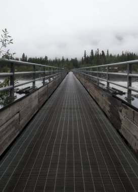 Wrangell 'deki St Elias Ulusal Parkı sisli bir yaz günü Alaska' da McCarthy 'ye açılıyor..