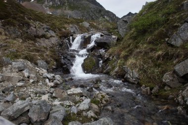 Alaska 'da bir yaz günü Independence Madeni Eyalet Parkında küçük bir şelale ve dere..