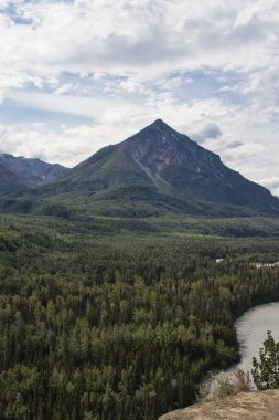 Ağaçlar ve dağlar bulutlu bir yaz gününde Alaska 'daki Matanuska-Susitna Vadisi' nde Palmer yakınlarında..