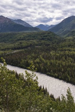 Part of the Alaska Range on a summer day with the Matanuska River and trees in the foreground. clipart