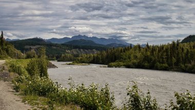Matanuska Nehri Alaska 'daki Matanuska-Susitna Vadisi' nde bulutlu bir yaz gününde.