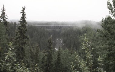 Alaska 'da sisli bir yaz gününde Wrangell' de nehir kıyısındaki Kuskulana Köprüsü - St Elias Ulusal Parkı Koruma Alanı.