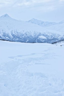 Alaska 'daki Castner Mağarası' nın yakınlarında soğuk ve bulutlu bir kış gününde derin karların içinden geçen yol..