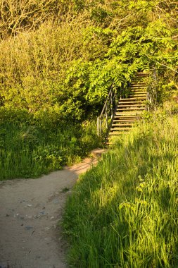 Güneşli bir bahar akşamında kuzey Almanya 'da Baltık Denizi' nde yeşil bitkilerle çevrili merdivenlerde parlayan güneş..