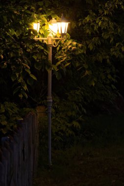 Almanya, Rerik 'te gece ağaçlarda ışıklar.