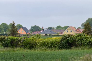 Almanya 'nın Rerik kentinde, bulutlu bir bahar gününde yeşil çimenlerin, ağaçların, çalıların ve çiçeklerin olduğu bir tarlanın arkasındaki renkli evler.