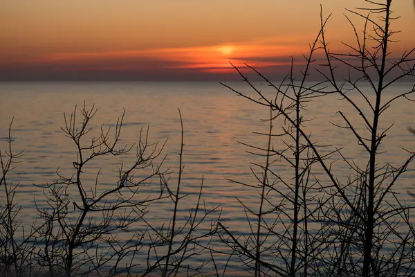 stock image Trees in front of water at the Baltic Sea on a spring night at sunset in northern Germany.