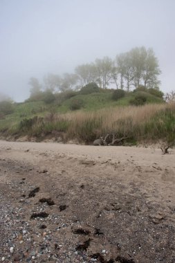 Kuzey Almanya 'da bir bahar günü Baltık Denizi' nde kayalarla kaplı kumsalın üzerindeki ağaçların üzerindeki sis..