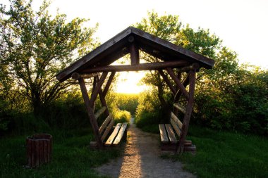 Kuzey Almanya 'da bir bahar akşamı kolza tohumu tarlasının yanındaki bankların arkasında..