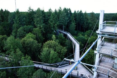 Mettlach, Germany - June 27, 2021: Wooden walking path from above at treetop walk at Saarschleife on a sunny spring afternoon in Germany. clipart