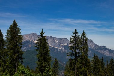 Bavyera Alplerinde güneşli bir bahar gününde, yeşil ağaçların arkasındaki dağ Kartal Yuvası 'na giden bir yürüyüş yolunda..