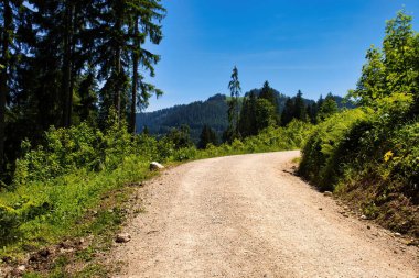 Almanya 'nın Bavyera Alplerinde güneşli bir bahar gününde Kartal Yuvası' na giden yürüyüş yolu..